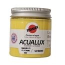 ACUALUX Ακρυλικό Χρώμα Νερού TITAN AMARILLO PLATANO 802