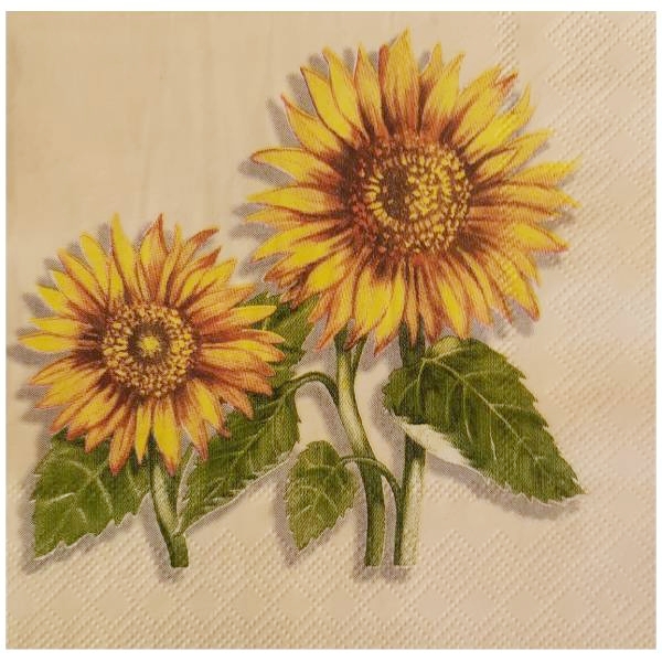 Sunflowers 13306785