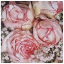 roses 255700