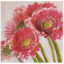 Fresh gerberas 21449
