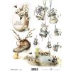 products itd collection r477