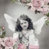 products angel and roses 13309255