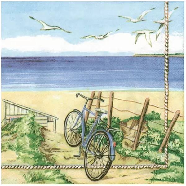 products beach bicycle 13303325