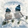 products birdies s greetings nv 74559