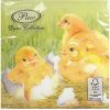 products chickens sdl 001184