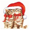 products dressed kitten 33303710