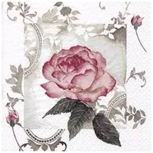 Enchanting Rose Vintage rosé 343658