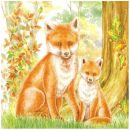 Family Fox 13307995