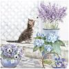 products kitten 13309990