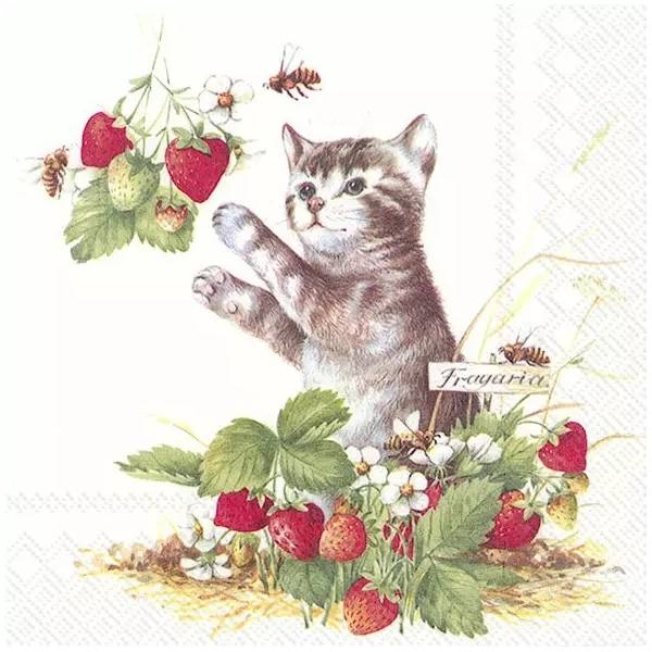 KITTY AND STRAWBERRIES L-809000