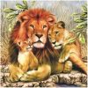 products lions slog 012401