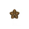products new project 2021 02 12t022457.894
