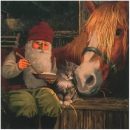 Nisse with Horse 303520