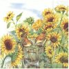 products nosy little birds l 778600