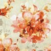 products ofelia orange 211849