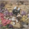 products playing kitties 064062