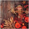 products scarecrow 342045