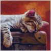 products sleeping darling 371116