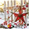 products star at fence 33304355