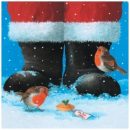 Two Robins at Santa’s Feet 310709