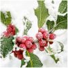 products winter berries 13305250
