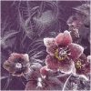 Icy Christmas Rose-611513