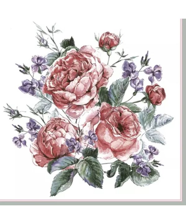 English Painted Roses SLOG-044401