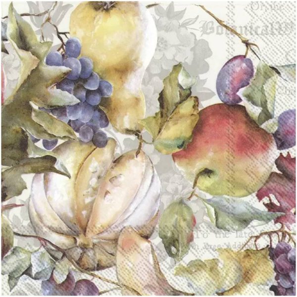 FRUTOS DE LA CATRINA cream L-922260