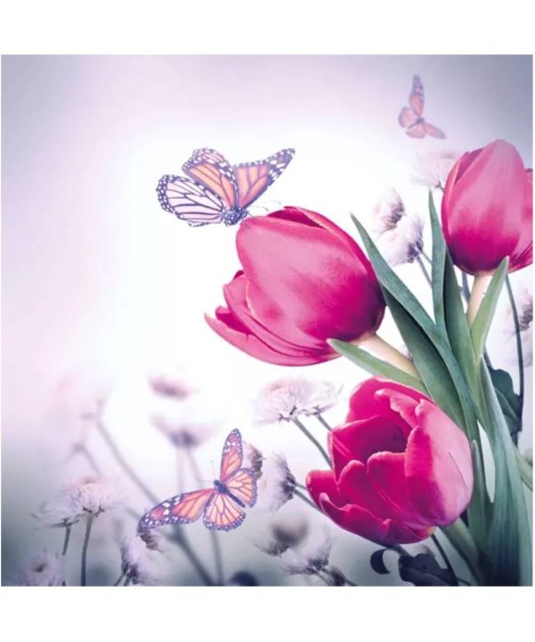 Butterfly & Tulip 13309265