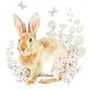 Rosi Rabbit 212009