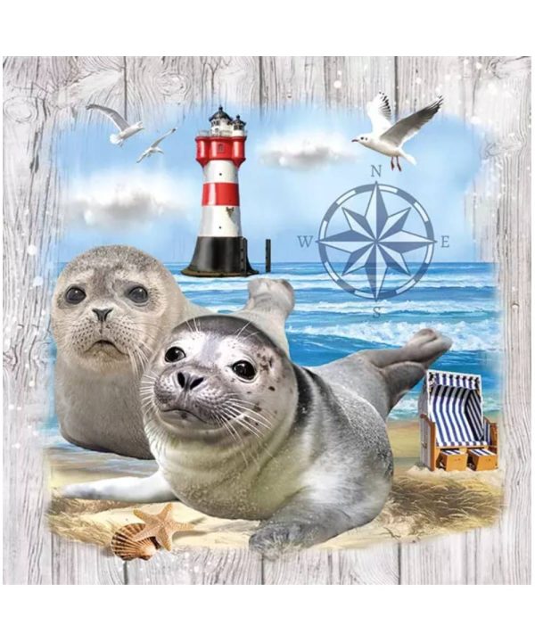 Seal Couple 13315435
