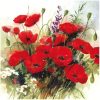 napkin 33x33 with flowers theme