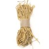 xorto-raffia-fisiko