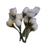mpouketo-mikroloulouda-90501