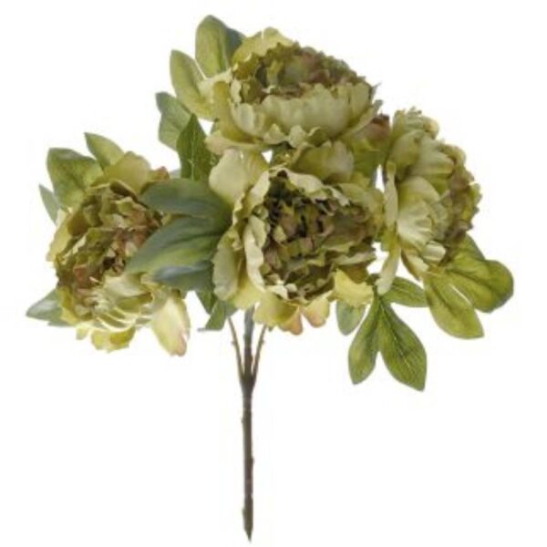 Πράσινη Παιώνια 78061