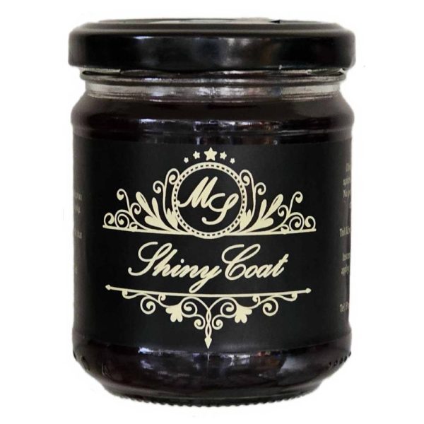 Shiny Coat 96431