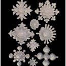 Elastic Resin – 32218
