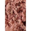Sea Moss (Βρύα) 500001LPK