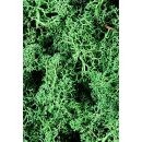 Sea Moss (Βρύα) 500001MGR