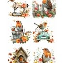 ΡΙΖΟΧΑΡΤΟ X013