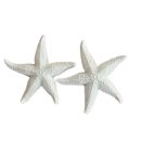 Πολυεστερικό αντικείμενο – 47759