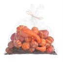 Κολοκύθες 62CAN01284-2