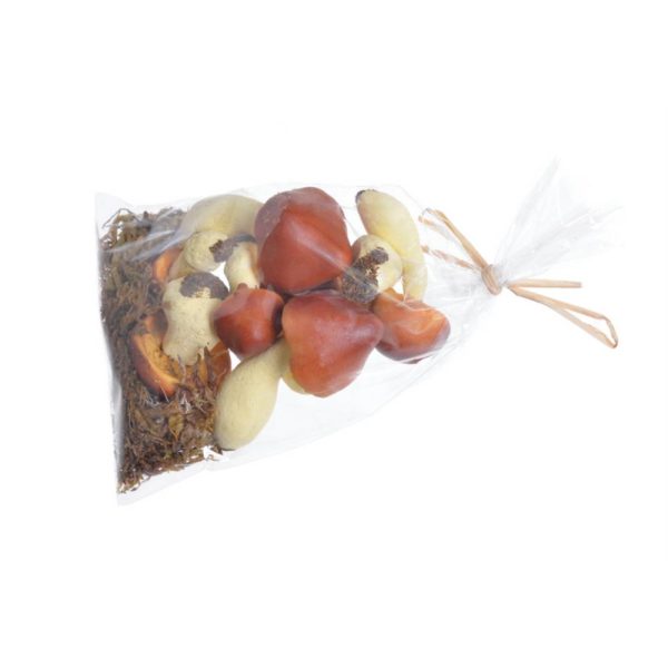 Μανιτάρια 62CAN01458