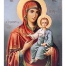 ΡΙΖΟΧΑΡΤΟ Z041